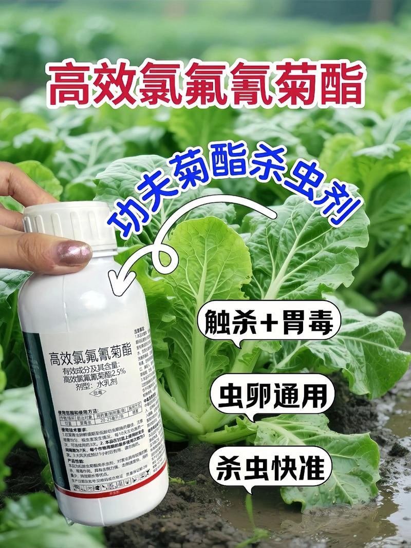 防城港代生中心:农药对供卵代生妈妈的危害